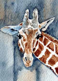"Giraffe" by Beverly Larson, Fitchburg WI - Watercolor, SOLD